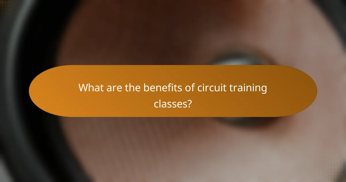 What are the benefits of circuit training classes?